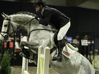 L-springen 201113_3350